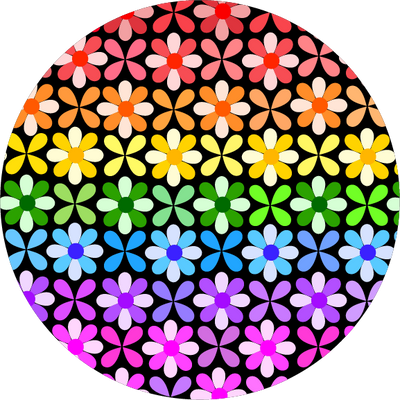 The Non-Binary Flag