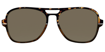 The Polarized Chic Tortoise Split Sun Top - Front Top Thumbnail - Pair Eyewear