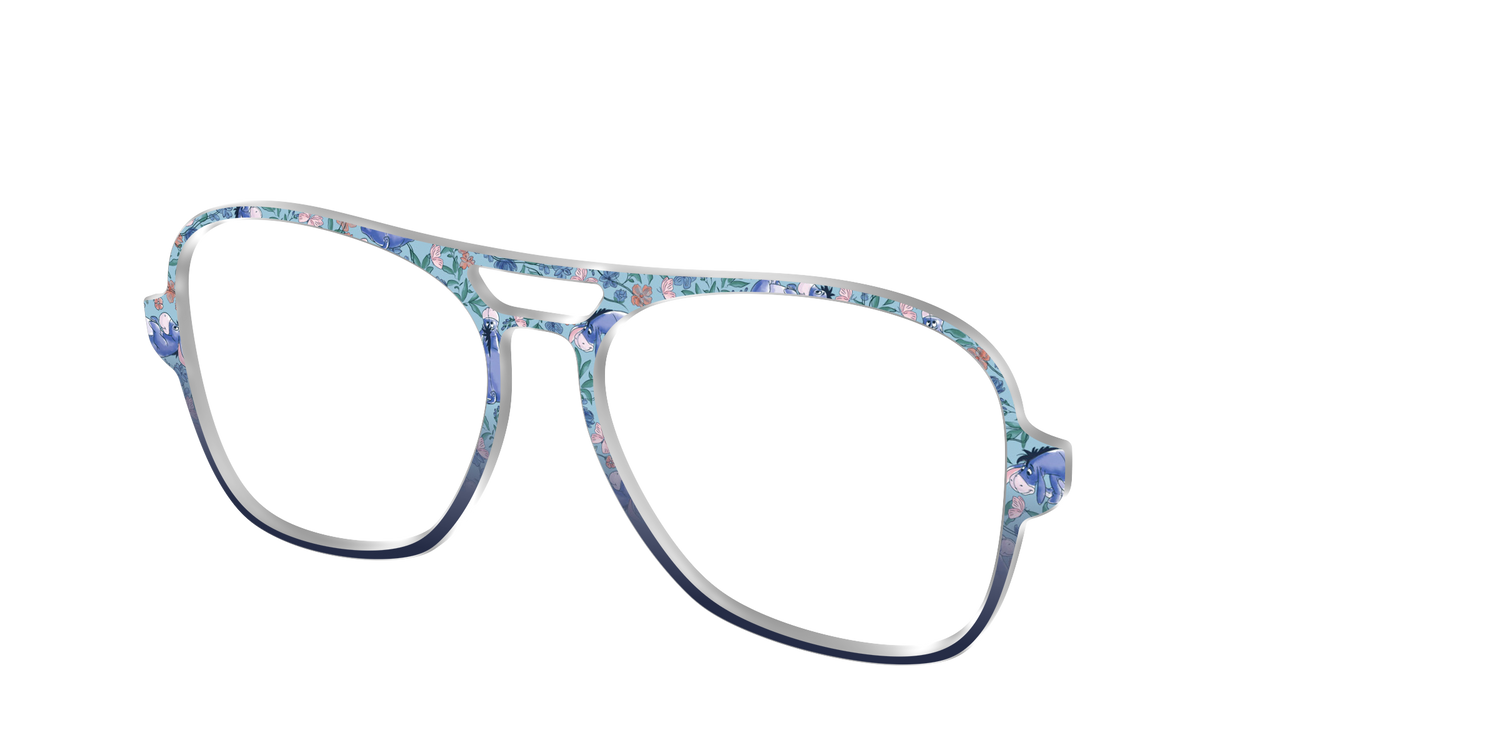 Eeyore's Blooming Meadow - Angle Top Image - Pair Eyewear