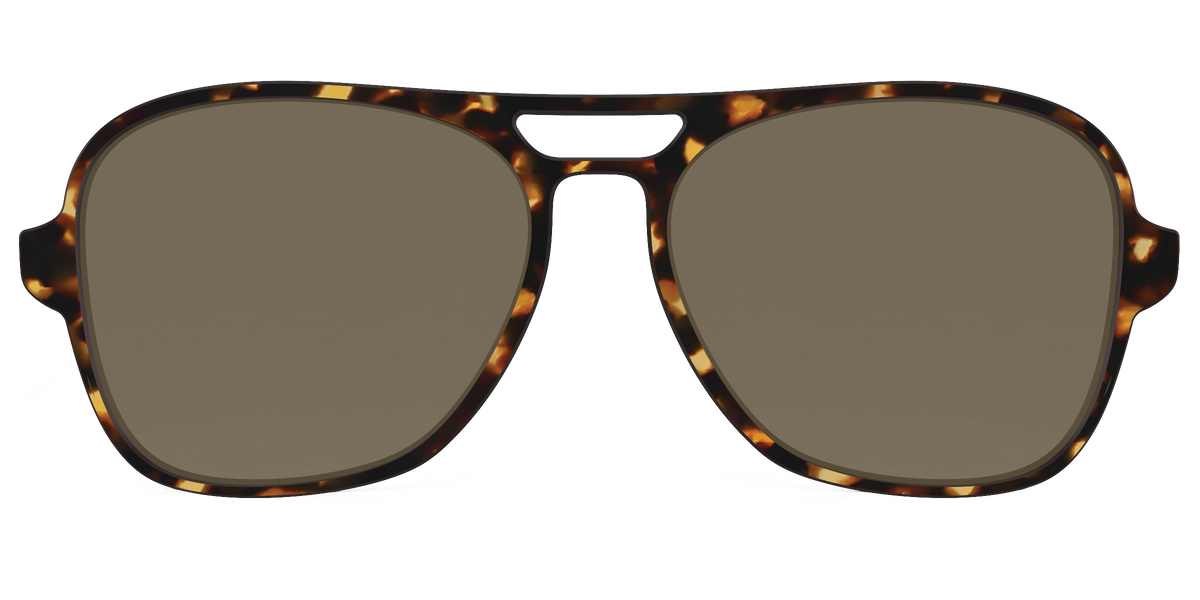 The Non-Polarized Tortoise Sun Top - Front Top Image - Pair Eyewear