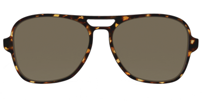 The Non-Polarized Tortoise Sun Top - Front Top Thumbnail - Pair Eyewear