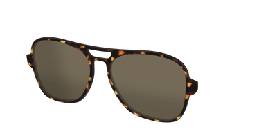 The Non-Polarized Tortoise Sun Top - Angle Top Thumbnail - Pair Eyewear