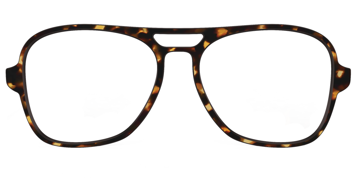 The Tortoise - Front Top Image - Pair Eyewear