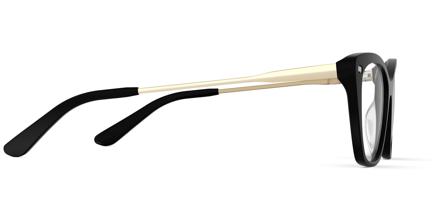 The Wanda - Mixed Material Black Gold Metal