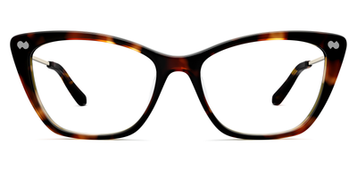 Mixed Material Tortoise Gold Metal
