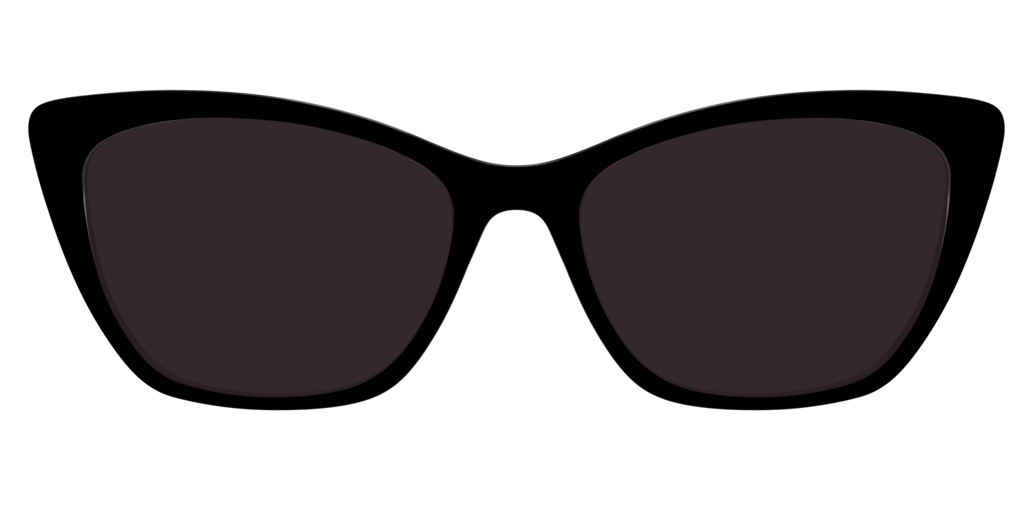 The Black with Urban Explorer Lens - Front Top Image - Pair Eyewear