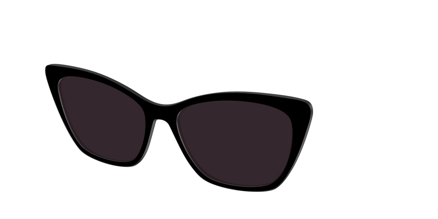 The Black with Urban Explorer Lens - Angle Top Image - Pair Eyewear