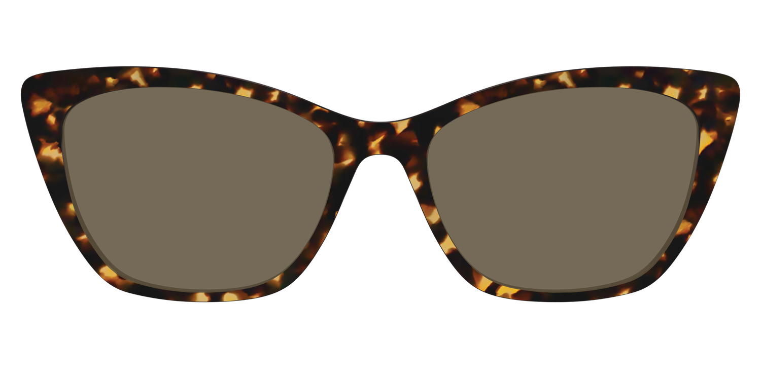 The Non-Polarized Tortoise Sun Top - Front Top Image - Pair Eyewear