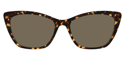 The Non-Polarized Tortoise Sun Top - Front Top Thumbnail - Pair Eyewear