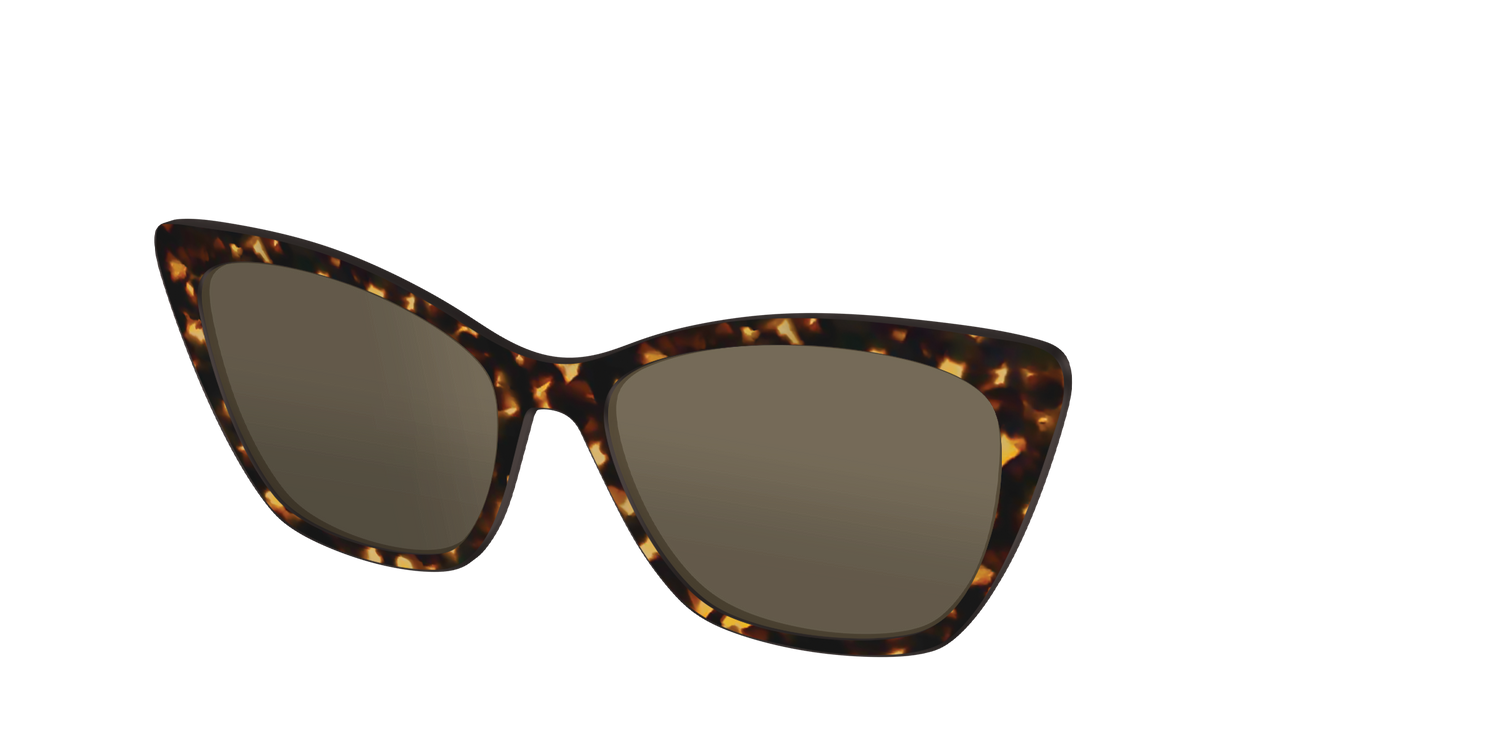 The Non-Polarized Tortoise Sun Top - Angle Top Image - Pair Eyewear