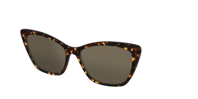 The Non-Polarized Tortoise Sun Top - Angle Top Thumbnail - Pair Eyewear