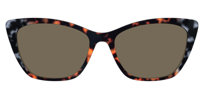 The Polarized Gray & Amber Tortoise Sun Top - Front Top Thumbnail - Pair Eyewear