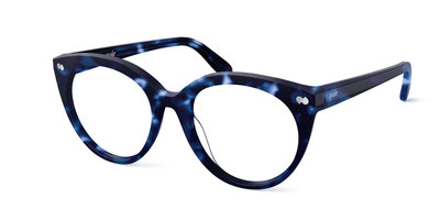 blue tortoise