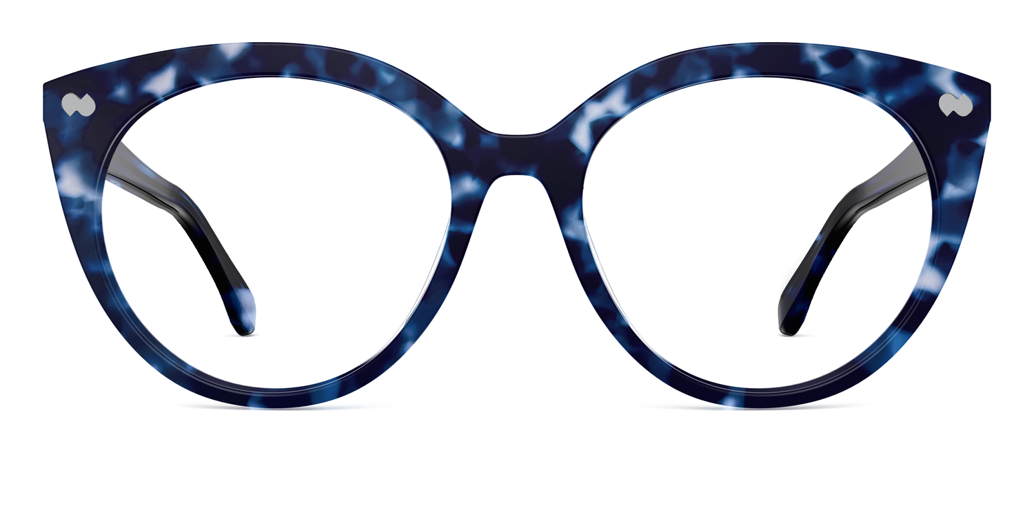 blue tortoise