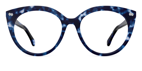 blue tortoise