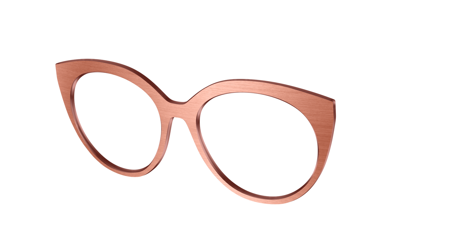 The Brushed Champagne - Angle Top Image - Pair Eyewear