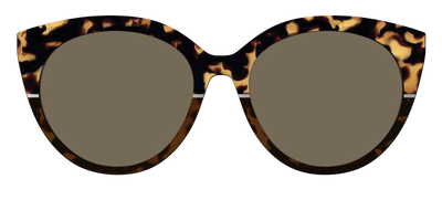 The Polarized Chic Tortoise Split Sun Top - Front Top Thumbnail - Pair Eyewear