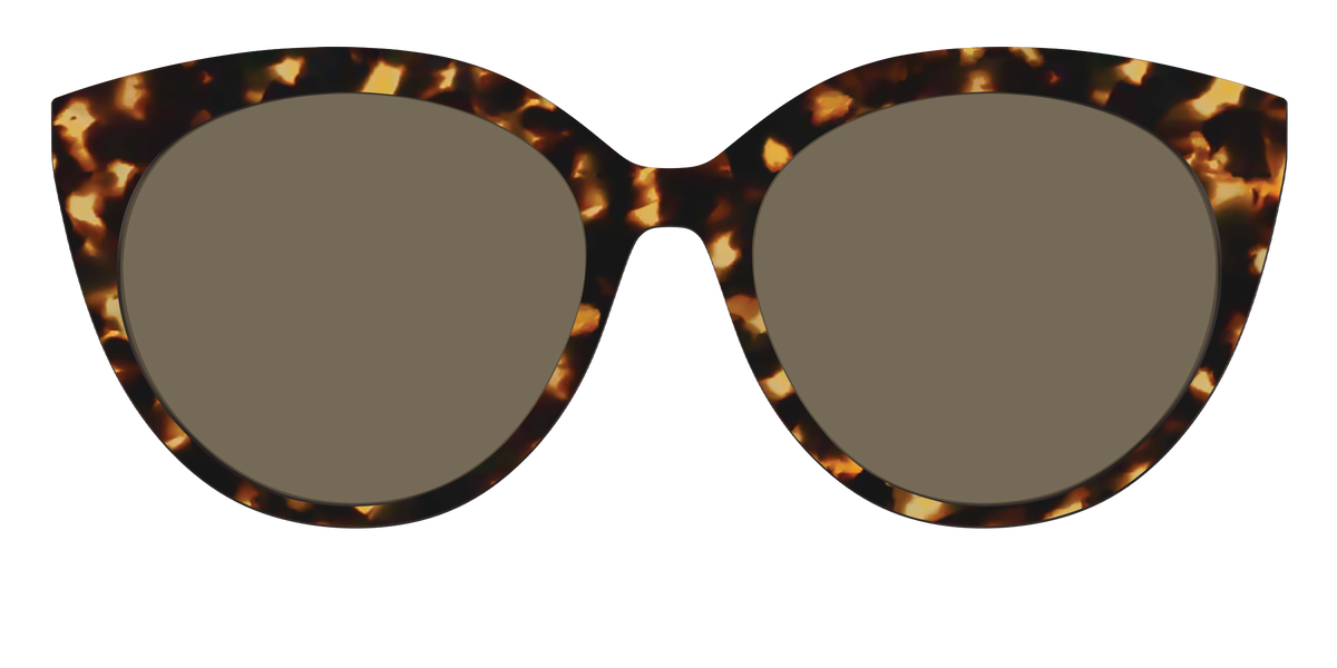 The Non-Polarized Tortoise Sun Top - Front Top Image - Pair Eyewear