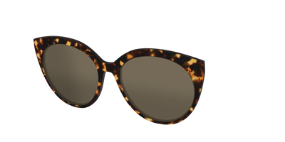 The Non-Polarized Tortoise Sun Top - Angle Top Thumbnail - Pair Eyewear