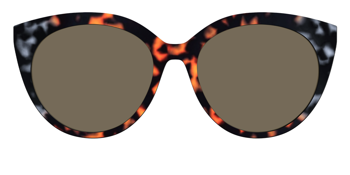 The Polarized Gray & Amber Tortoise Sun Top - Front Top Image - Pair Eyewear