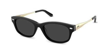 The Addison - Black Acetate Gold Metal Sun