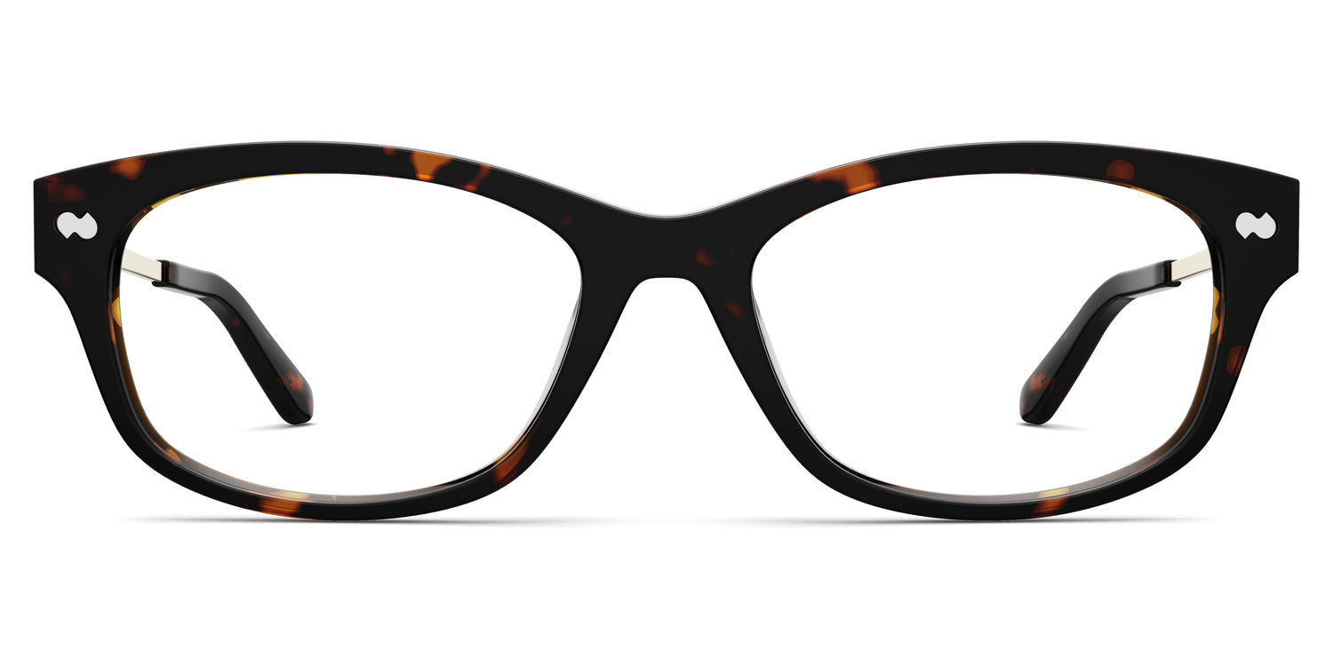 The Addison - Tortoise Acetate Gold Metal