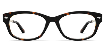 The Addison - Tortoise Acetate Gold Metal