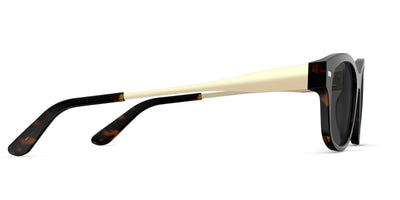 The Addison - Tortoise Acetate Gold Metal Sun