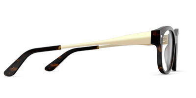 The Addison - Tortoise Acetate Gold Metal