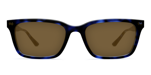 The Larkin - Blue Tortoise Sun