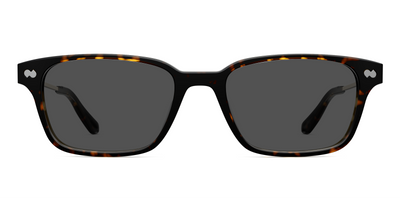 The Finley - Mixed Material Tortoise Gold Metal Sun