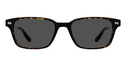 The Finley - Mixed Material Tortoise Gold Metal Sun