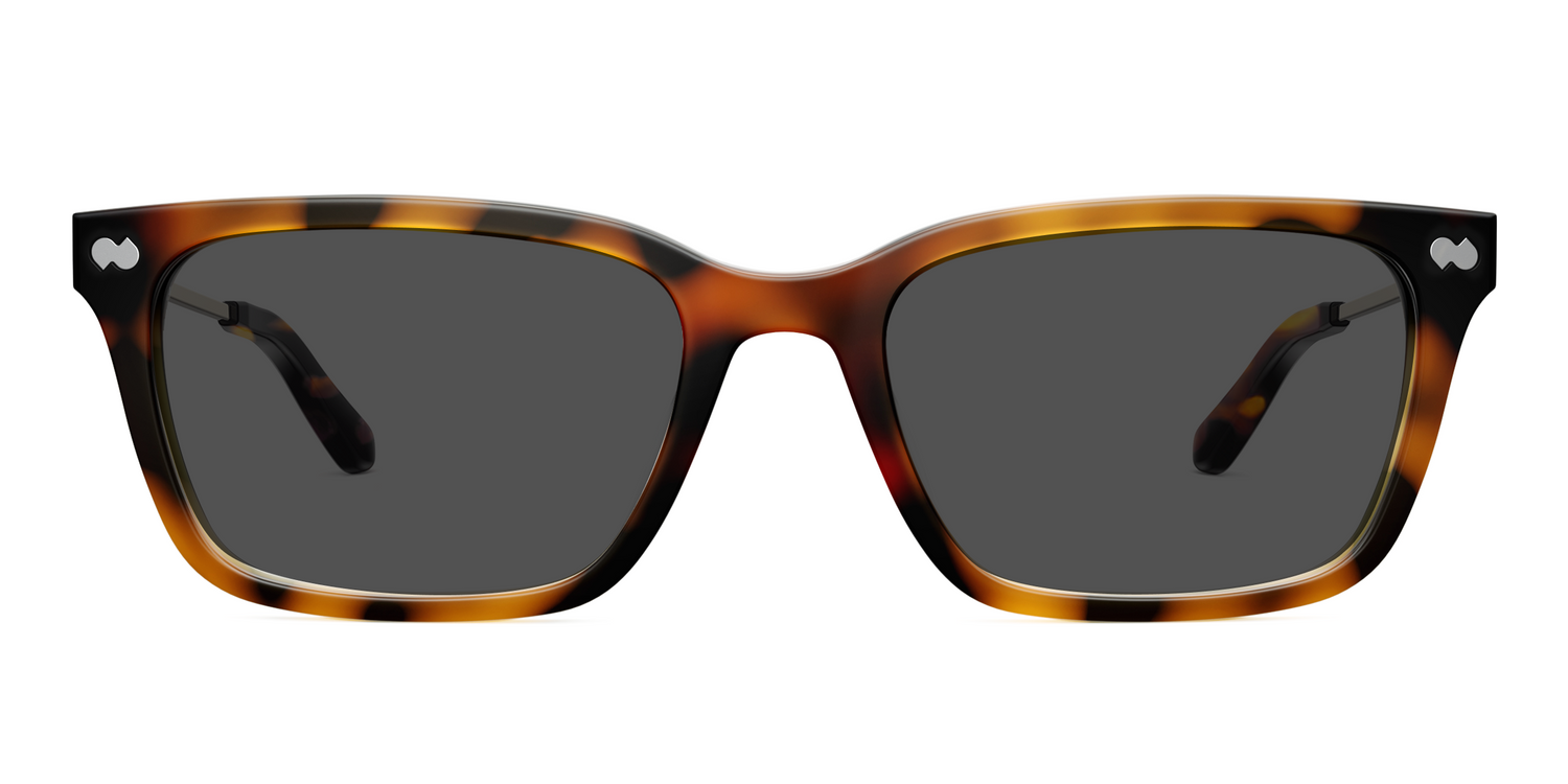 The Larkin - Mixed Material Tortoise Gold Metal Sun
