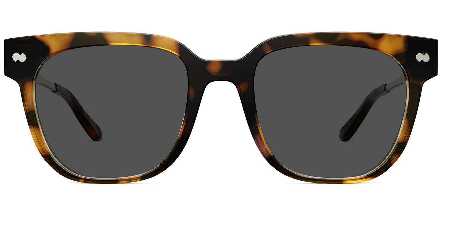 The Murphy - Mixed Material Tortoise Gold Metal Sun