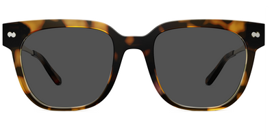 The Murphy - Mixed Material Tortoise Gold Metal Sun