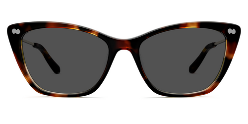 The Wanda - Mixed Material Tortoise Gold Metal Sun