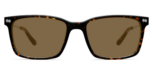 The Kirby - Mixed Material Tortoise Gold Metal Sun