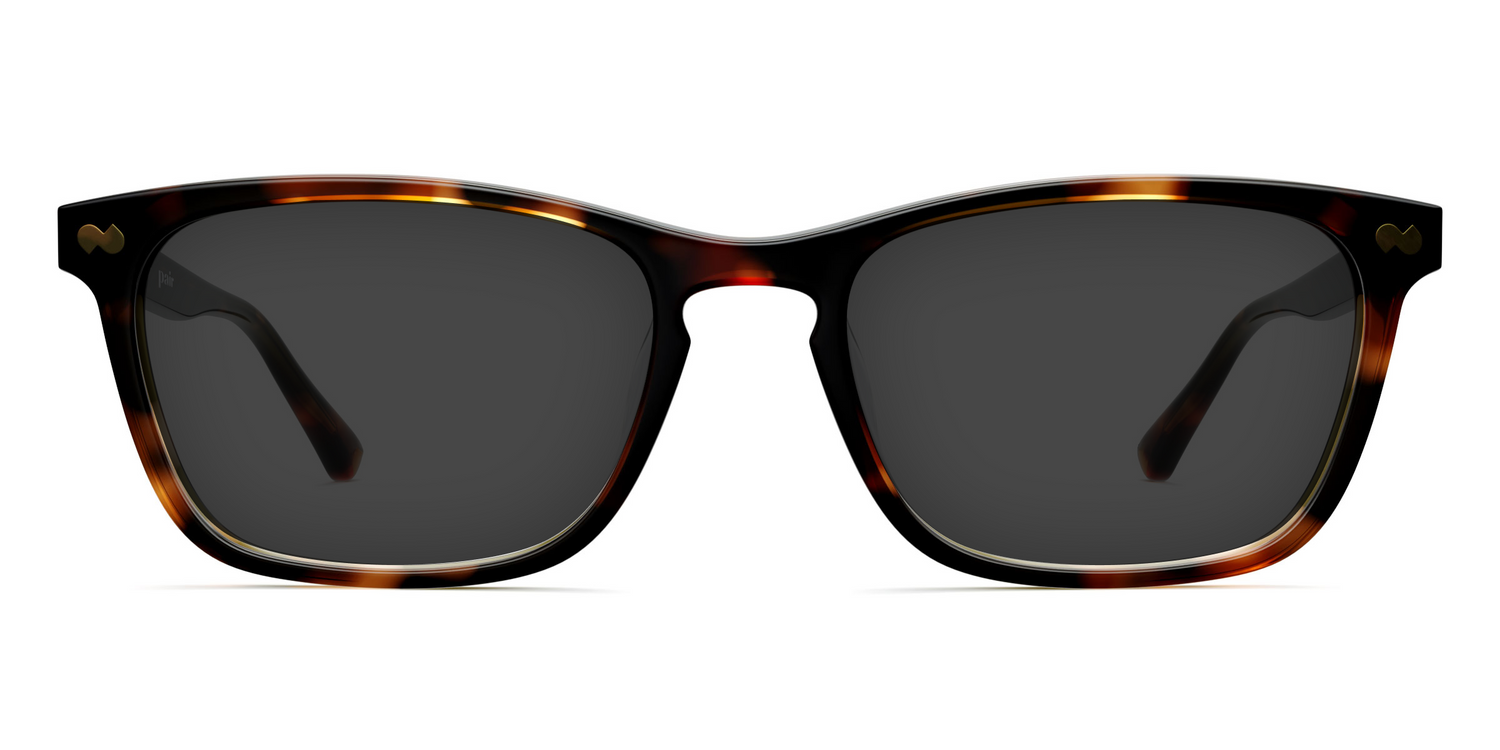 The Casper - Tortoise Sun