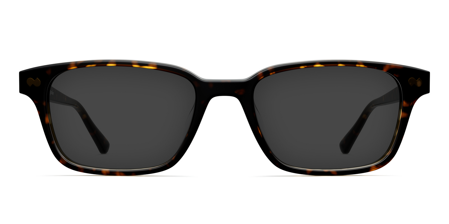 The Finley - Tortoise Sun