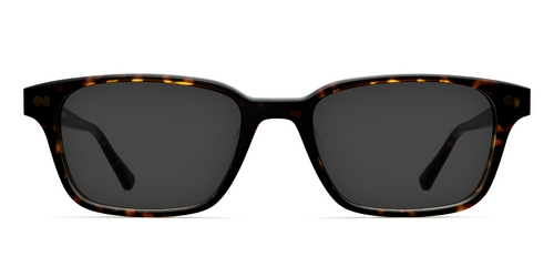 The Finley - Tortoise Sun