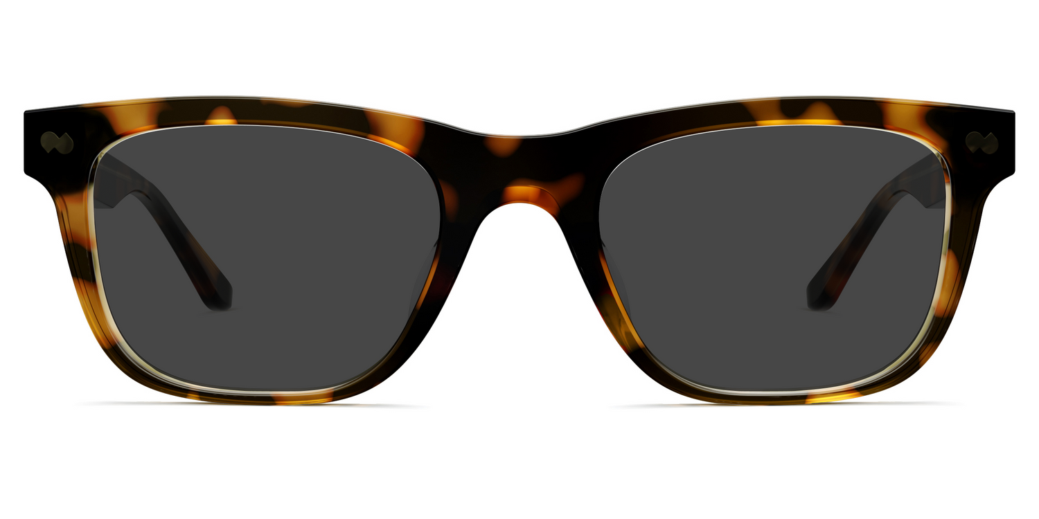 The Jessie - Tortoise Sun