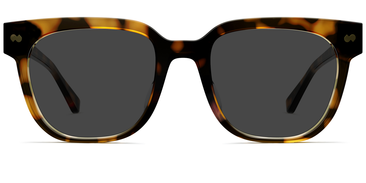 The Murphy - Tortoise Sun