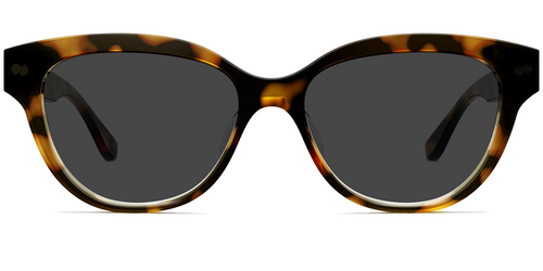 The Quinn - Tortoise Sun