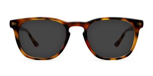 The Twain - Tortoise Sun