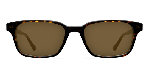 The Finley - Tortoise Sun