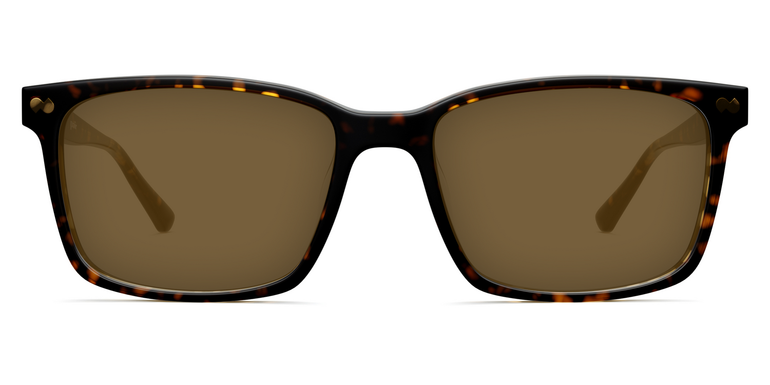 The Kirby - Tortoise Sun - Carousel2 - Pair Eyewear