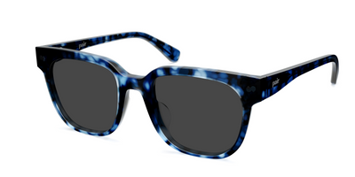 The Murphy - Blue Tortoise Sun
