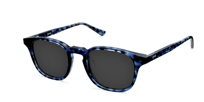 The Otis - Blue Tortoise Sun