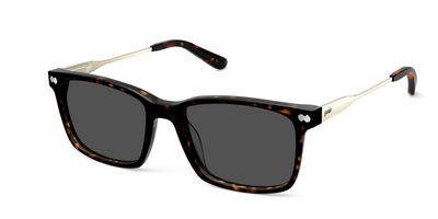The Kirby - Mixed Material Tortoise Gold Metal Sun