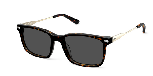 The Kirby - Mixed Material Tortoise Gold Metal Sun